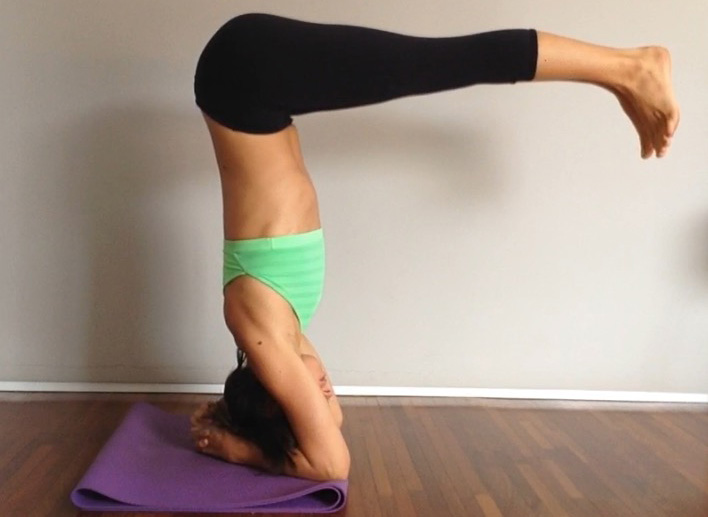 Princípios Gerais Assanas