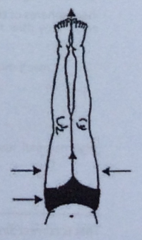 Quadris de Sirsasana em iyengar yoga